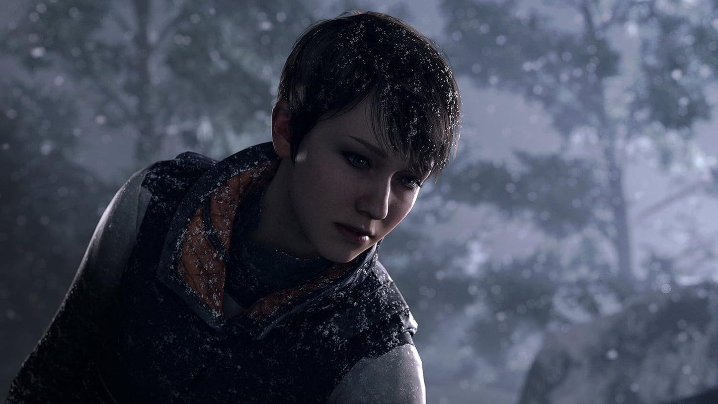 Гра Sony PlayStation 4 Detroit: Become Human Російська Озвучка (CUSA-08308) Б/В