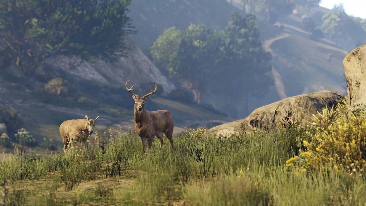Гра Sony PlayStation 4 Grand Theft Auto V Російська Озвучка (CUSA-00411) Б/В