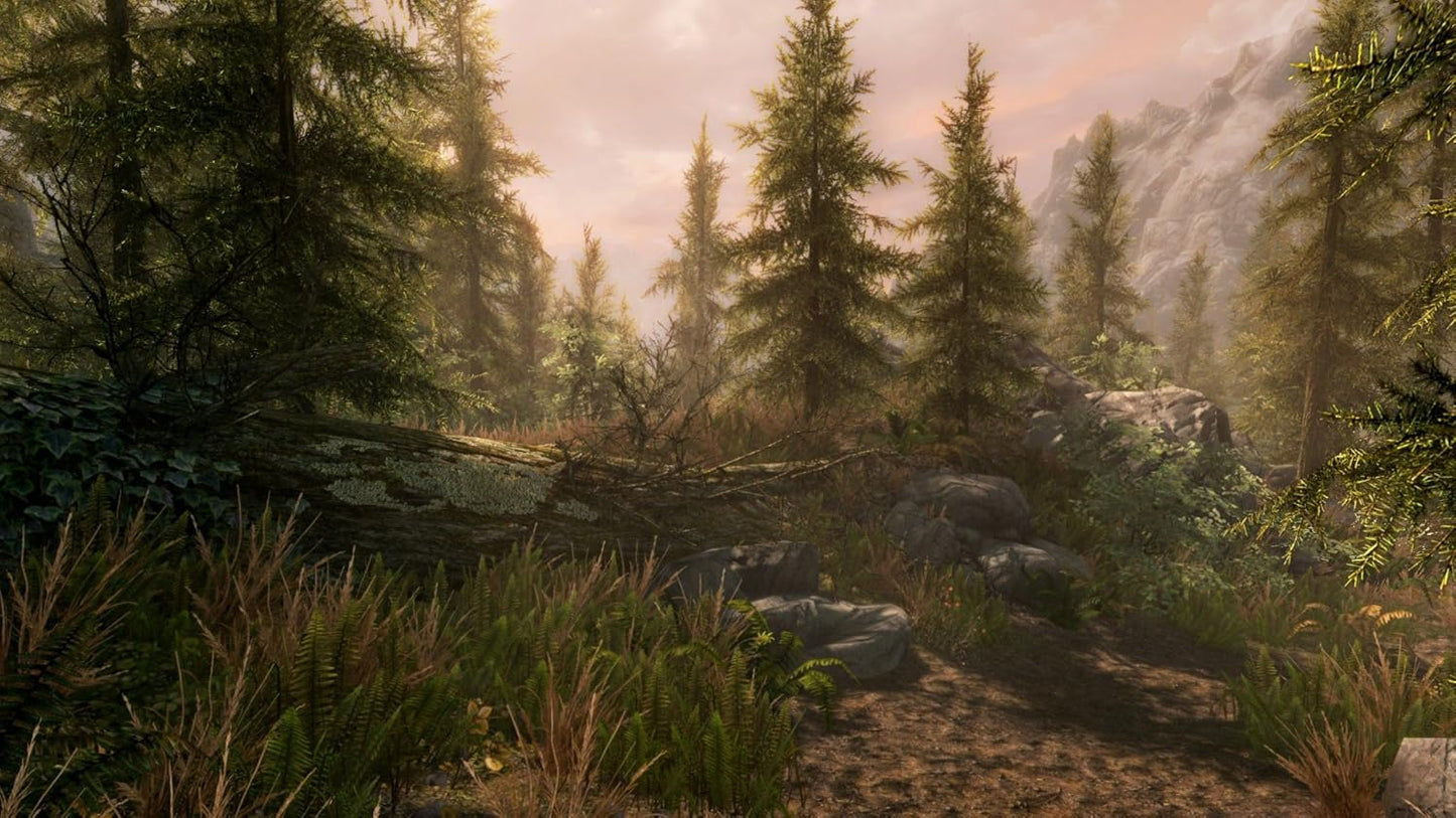 Гра Microsoft Xbox One The Elder Scrolls V: Skyrim Special Edition Англійська Версія Б/В