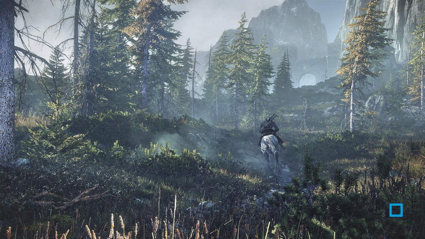 Гра Sony PlayStation 4 The Witcher 3: Wild Hunt Російські Субтитри (CUSA-01439) Б/В