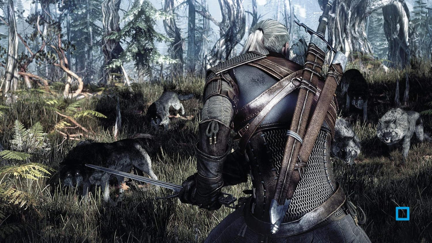 Гра Sony PlayStation 4 The Witcher 3: Wild Hunt Російські Субтитри (CUSA-01439) Б/В