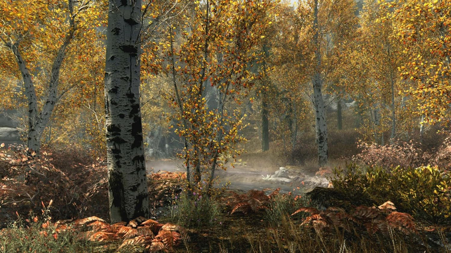 Гра Microsoft Xbox One The Elder Scrolls V: Skyrim Special Edition Англійська Версія Б/В