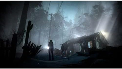 Гра Sony PlayStation 4 Until Dawn Російська Озвучка (CUSA-02636) Б/В
