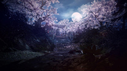 Гра Sony PlayStation 4 Nioh 2 Російські Субтитри Б/В