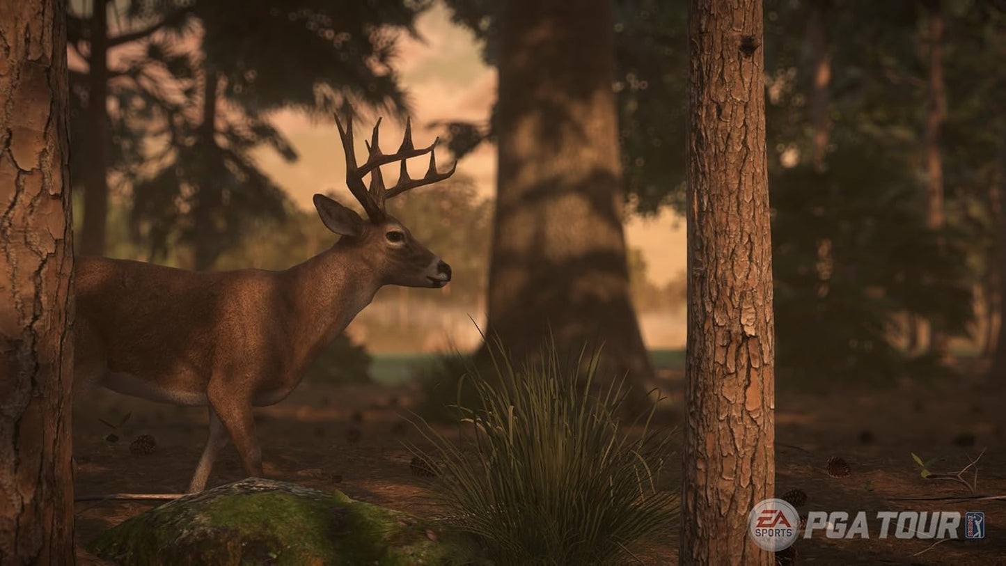 Гра Sony PlayStation 4 Rory McIlroy PGA Tour Англійська Версія (CUSA-00975) Б/В