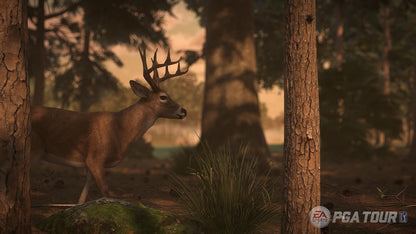 Гра Sony PlayStation 4 Rory McIlroy PGA Tour Англійська Версія (CUSA-00975) Б/В