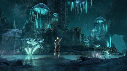 Гра Sony PlayStation 4 The Elder Scrolls Online: Greymoor Англійська Версія (CUSA-00086) Б/В