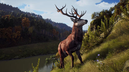 Гра Sony PlayStation 5 Way of the Hunter: Hunting Season One Російські субтитри Б/В