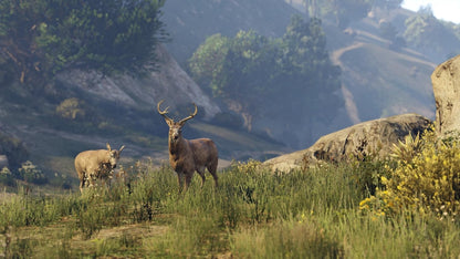 Гра Sony PlayStation 4 Grand Theft Auto V Російська Озвучка (CUSA-00411) Б/В