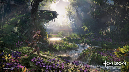 Гра Sony PlayStation 4 Horizon Forbidden West Російська Озвучка (CUSA-24705) Б/В